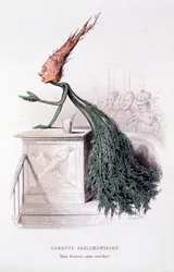 Parlamentarische Karotte, Illustration aus 